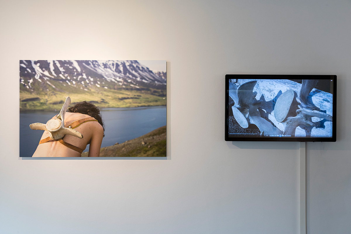 Identity Beyond Borders 2point3