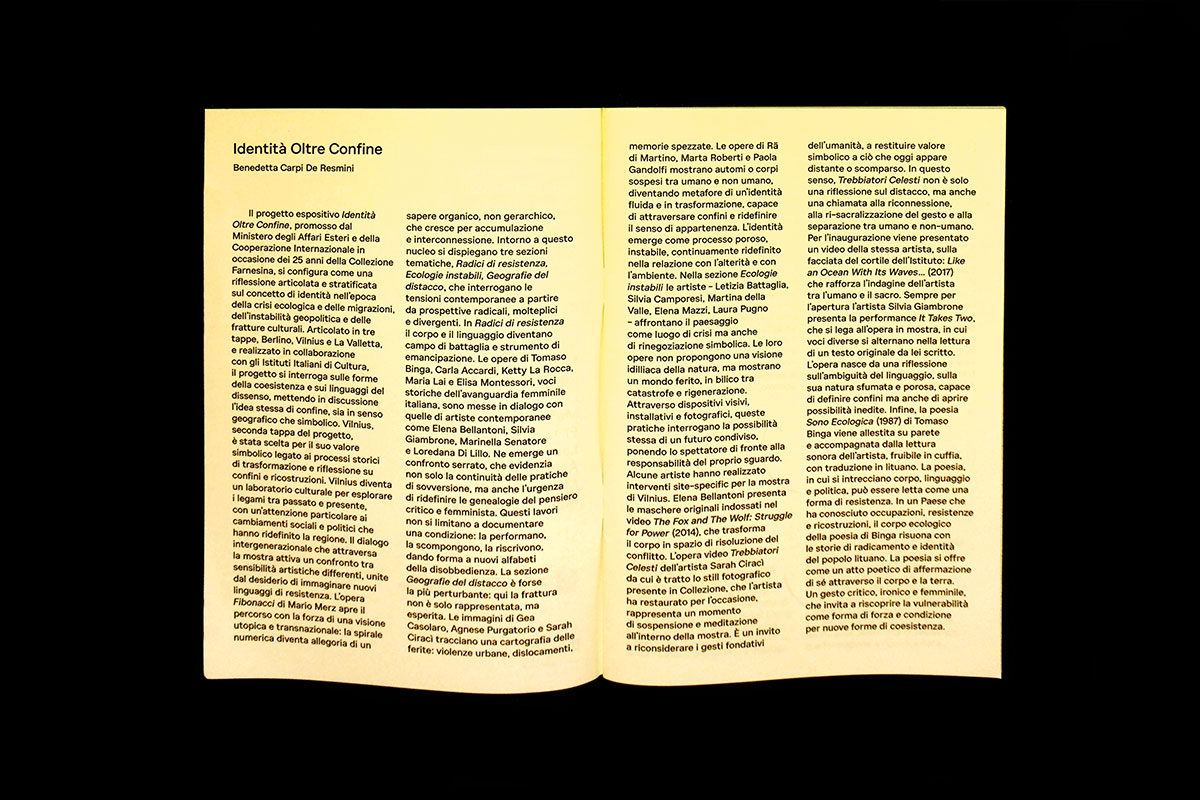 Identity Beyond Borders 2point3