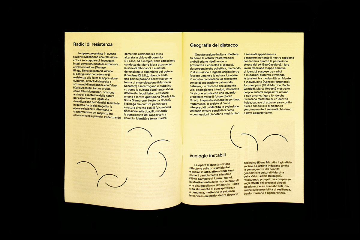 Identity Beyond Borders 2point3