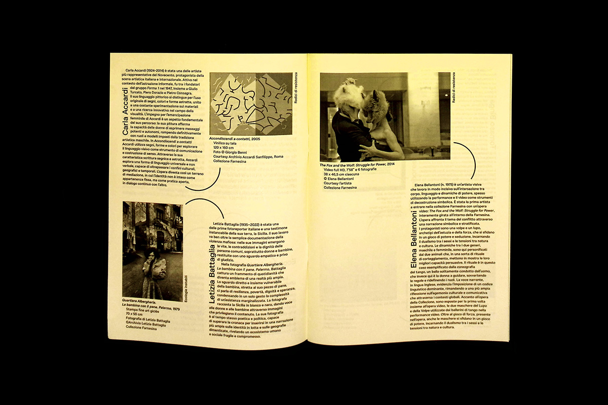 Identity Beyond Borders 2point3