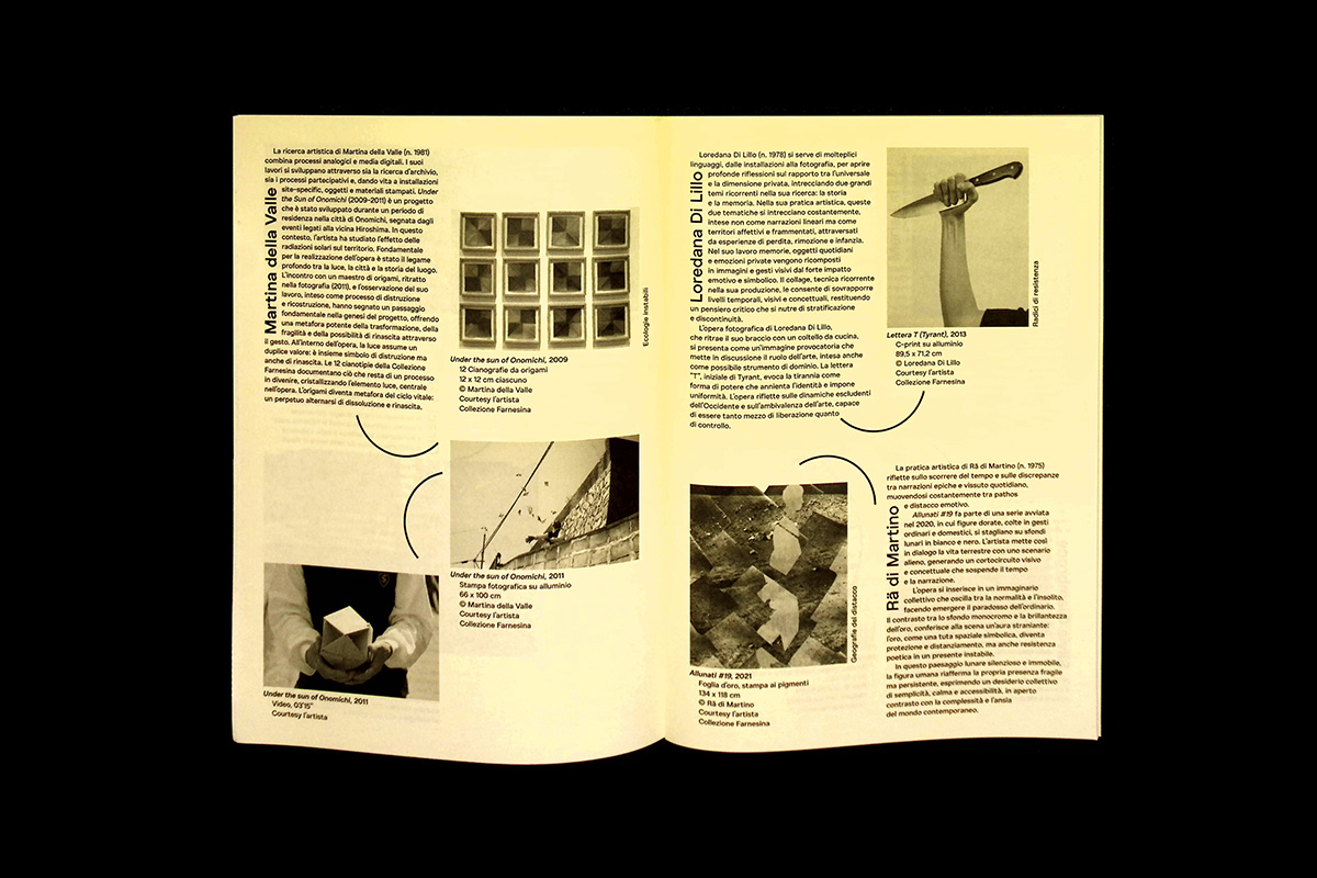 Identity Beyond Borders 2point3