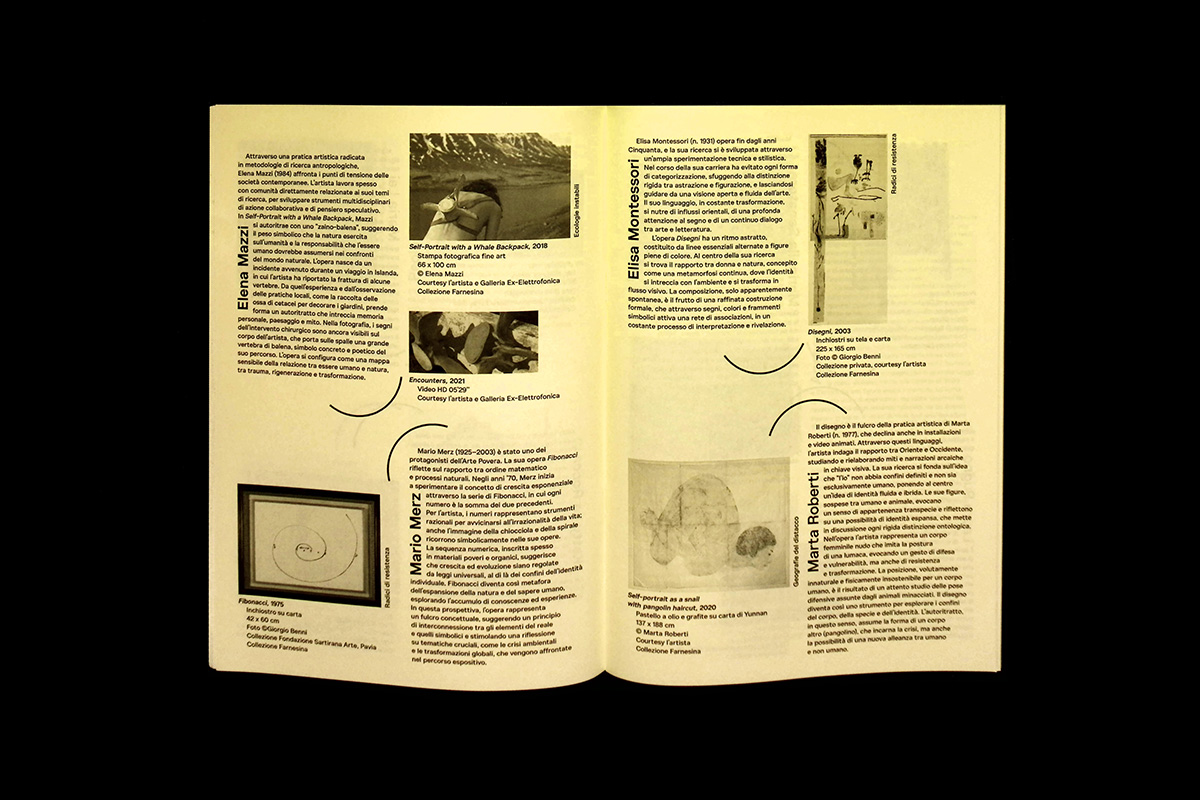 Identity Beyond Borders 2point3